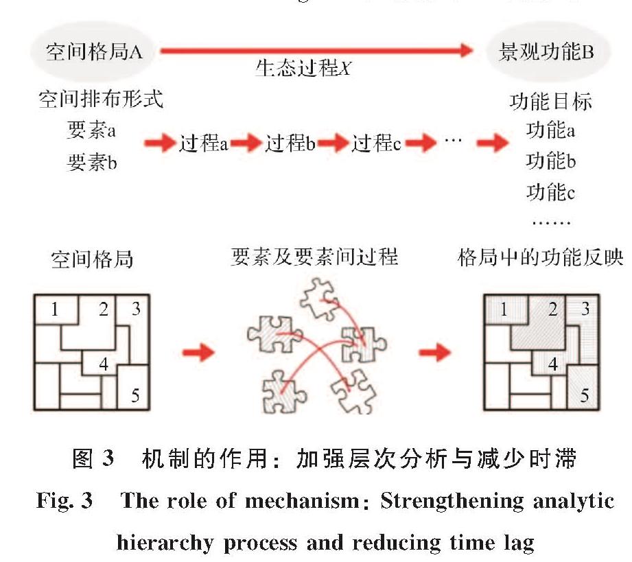 图3 机制的作用:加强层次分析与减少时滞<br/>Fig.3 The role of mechanism: Strengthening analytic hierarchy process and reducing time lag