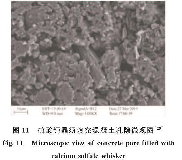 图11 硫酸钙晶须填充混凝土孔隙微观图[29]<br/>Fig.11 Microscopic view of concrete pore filled with calcium sulfate whisker
